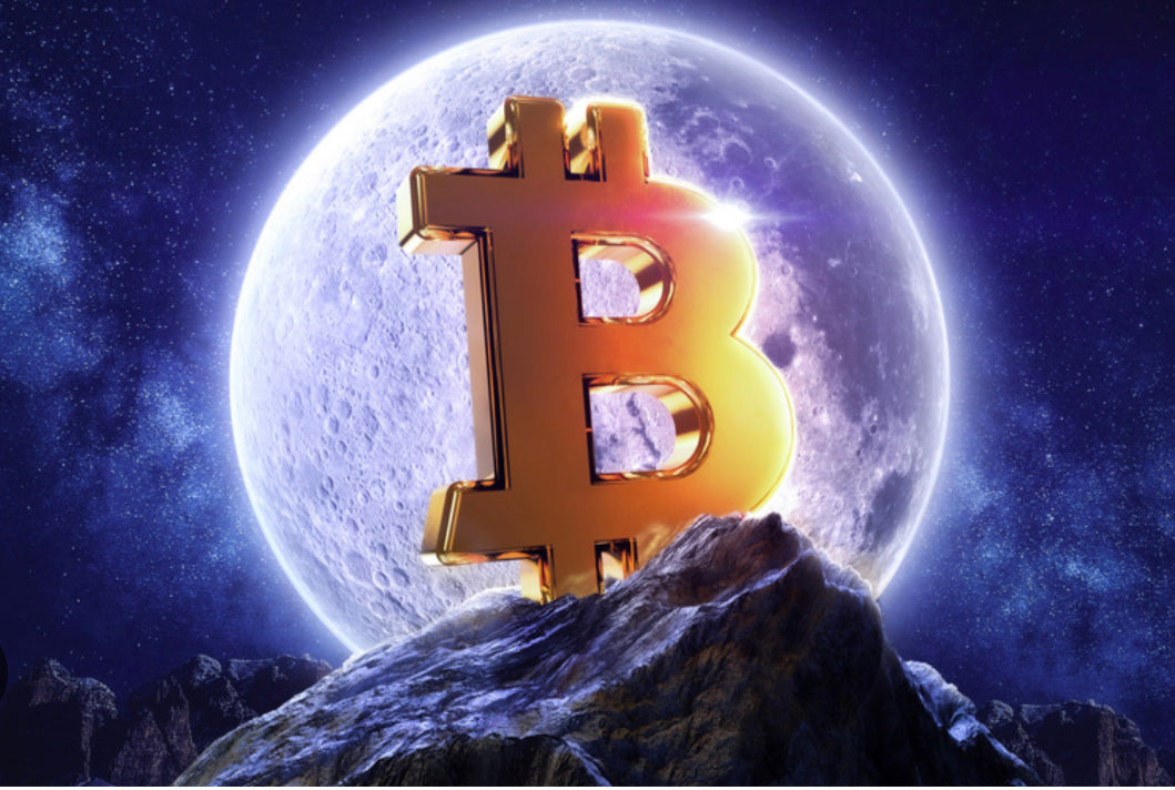 New Moon Bitcoin Talisman 3pc Dog Grooming Scissor Set