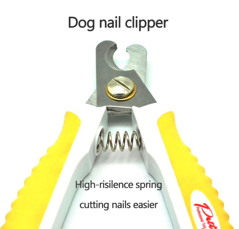 3 Star Nail & Brush Kit