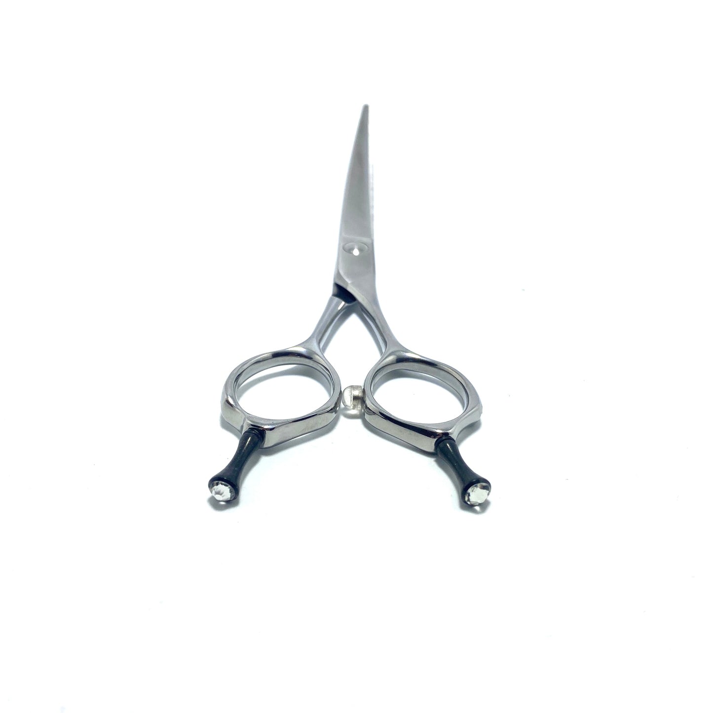 Moontail Show-Class 6.5” Super Curve Clear