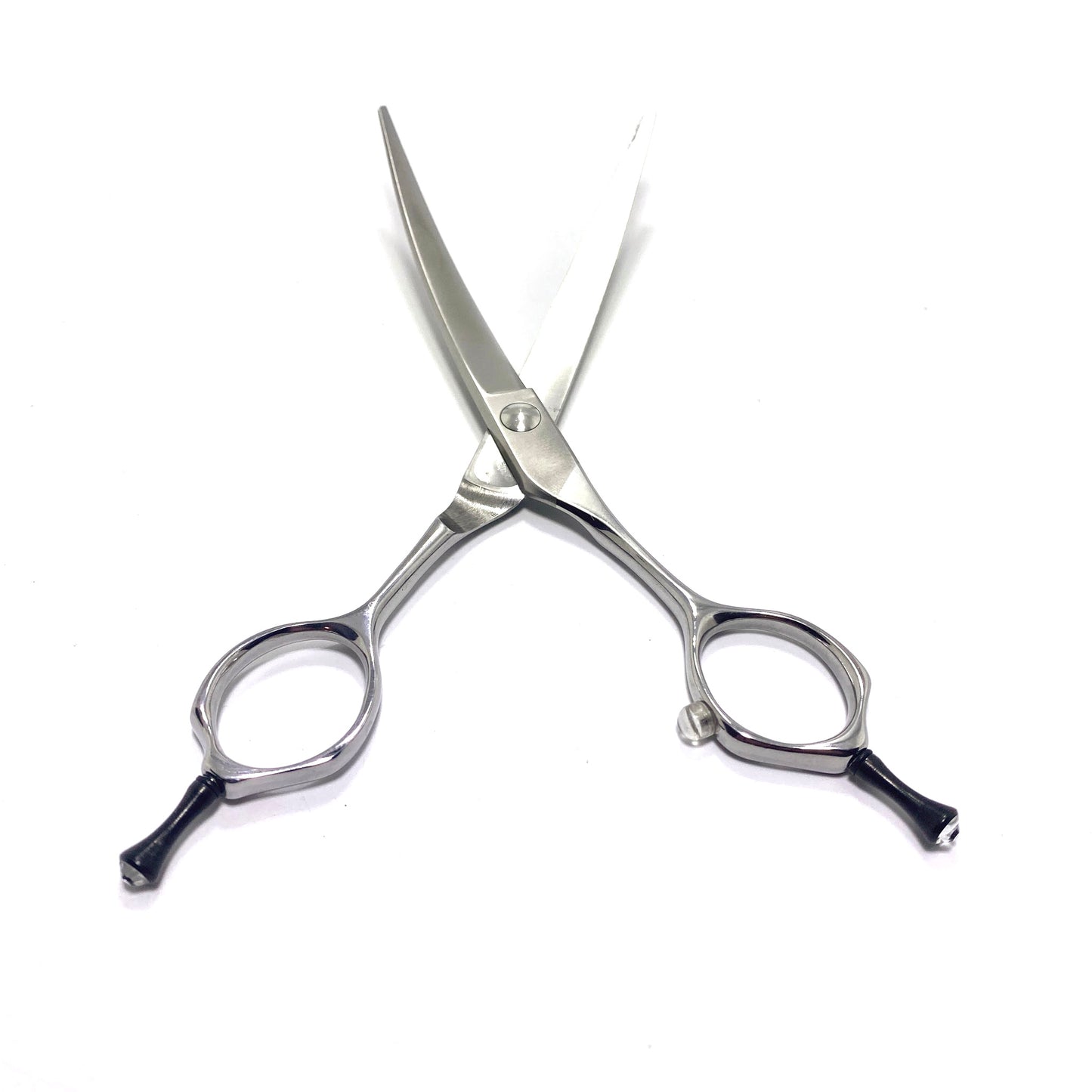 Moontail Show-Class 6.5” Super Curve Clear