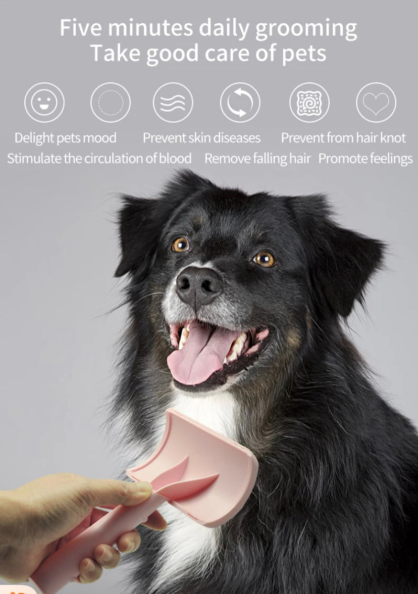 Gorgeous Pet Shaggy Dog 5p Set