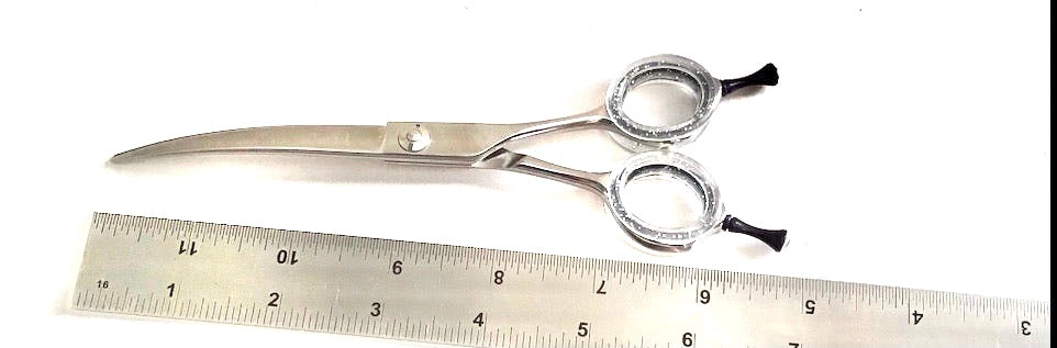 Moontail Show-Class 6.5” Super Curve Clear