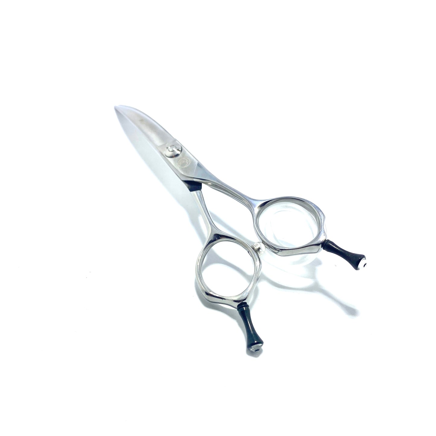 Moontail Show-Class 6.5” Super Curve Clear