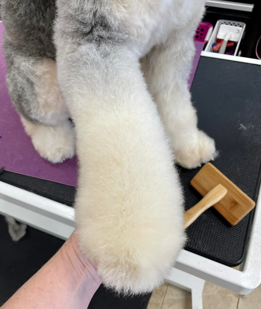 Unleash the Power of Grooming with the New Moon Bamboo Brush