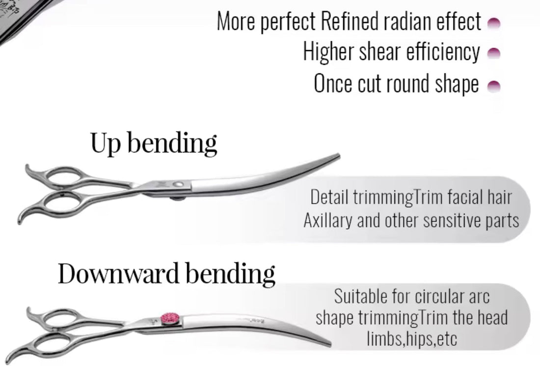 Are Curved or Straight Scissors Better for Dog Grooming?