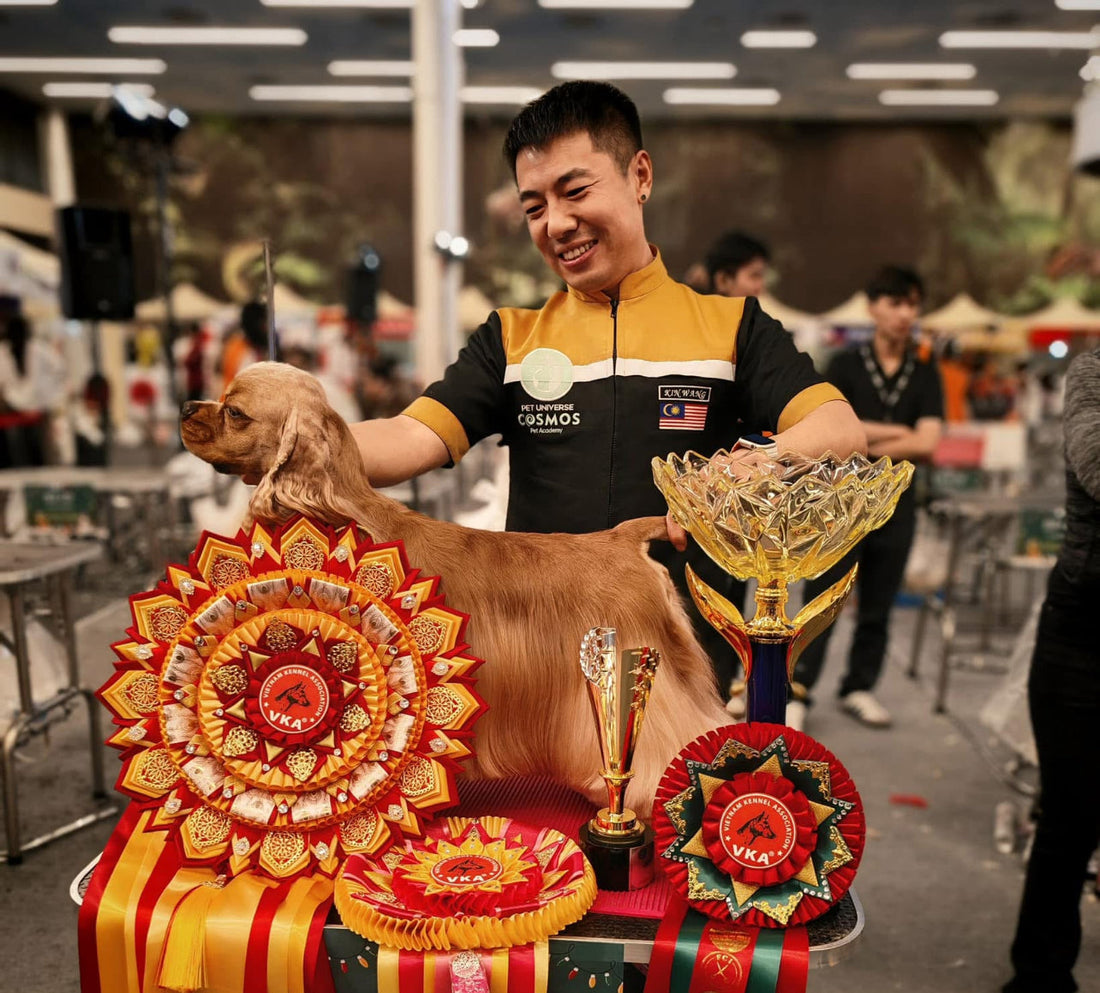 Master Kin Wang: Harebone Shears' Prestigious New Moon Ambassador in Asia