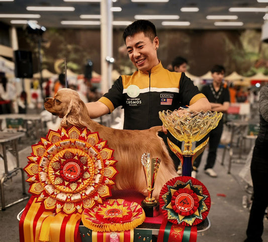 Master Kin Wang: Harebone Shears' Prestigious New Moon Ambassador in Asia