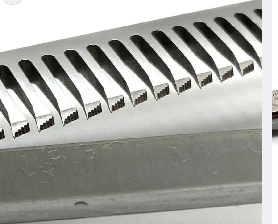 View of The Best Grooming Scissors For Dogs In 2024 - DogTime