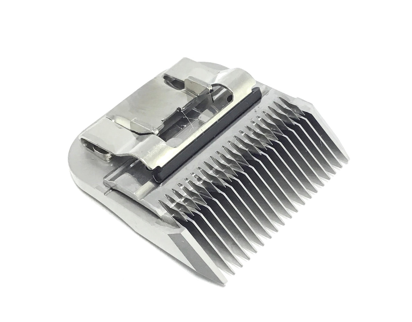 New Years 2026 Special