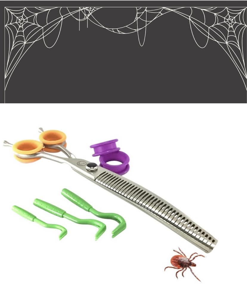 Halloween After Party Blow Out Special