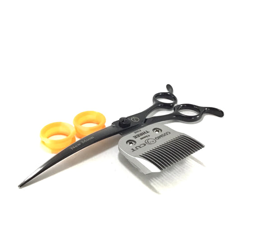 New Years 2026 Special