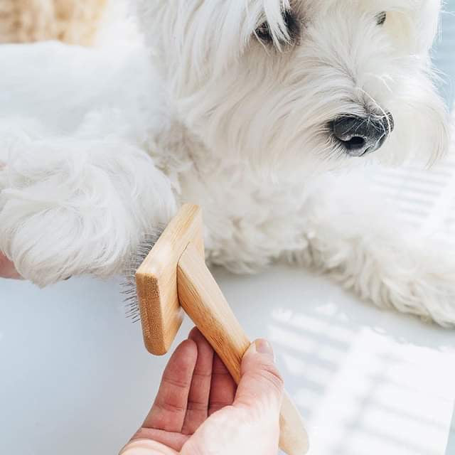 Earthy Bamboo Slicker Brush(sets or singles)