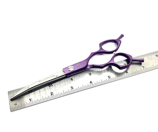 New Moon Gorgeous Pet Small Dog 5pc Set